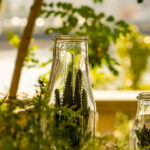 iPhone13Mini・12Miniのおしゃれな壁紙が取り放題