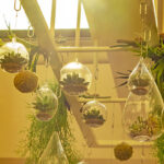 iPhone14plus・13ProMax・12ProMaxのおしゃれな壁紙が取り放題