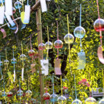 iPhone11・Xrの夏の壁紙が取り放題