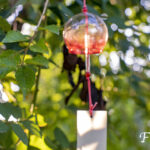 iPhone8・7・6・6SPlusの夏の壁紙を配信中