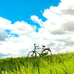 iPhone8・7・6・6S・SEの夏の壁紙が取り放題