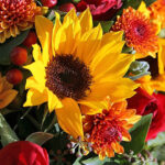 iPhone11ProMax・XsMaxの夏の壁紙を配信中