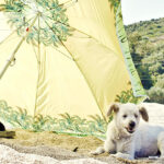 Twitterヘッダーサイズの夏の写真画像が取り放題