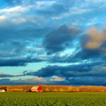 iPhone8・7・6・6S・SEの青い壁紙を配信中