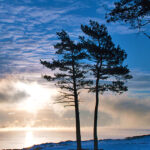 LINEプロフィール背景用の青いイメージ画像を配信中