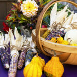 iPhone14・13・13Pro・12・12Proの秋の壁紙を配信中