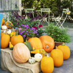 iPhone11・Xrの秋の壁紙を配信中