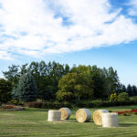 LINEプロフィール背景用秋の写真画像を配信中