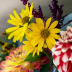 iPhone15Plus・iPhone15・14ProMaxの花の壁紙を配信中