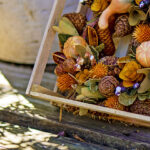 iPhone15Plus・iPhone15・14ProMaxのハロウィンの壁紙が取り放題