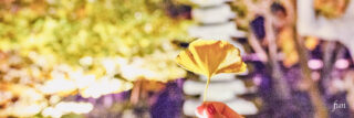 Twitterのヘッダー用秋の無料画像