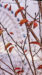 LINEプロフィール背景用の秋の写真画像