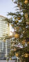 iPhone14Proのロック画面等のクリスマスの壁紙