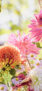 iPhone14plus・13ProMax・12ProMaxの花の壁紙