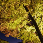 LINEプロフィール背景用の秋の写真画像を配信中