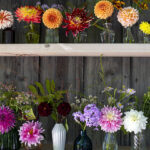 iPhone14・13・13Pro・12・12Proの花の壁紙を配信中