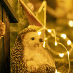 iPad10.5インチロック画面等のクリスマスの壁紙