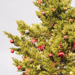 iPadpro12.9インチのクリスマスの壁紙