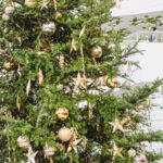 iPadpro12.9インチのクリスマスの壁紙