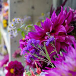 AppleWatchUltra・49mmの文字盤用画像が取り放題