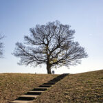 iPhone14・13・13Pro・12・12Proの冬の壁紙を配信中