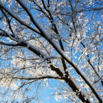 iPhone15Plus・iPhone15・14ProMaxの冬の壁紙を配信中