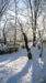 LINEプロフィール背景用の冬の画像