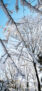 iPhone14ProMaxのロック画面等の冬の壁紙