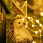 iPad7.9・9.7インチのクリスマスの壁紙