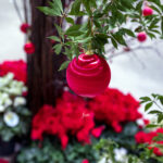 iPad7.9・9.7インチのクリスマスの壁紙