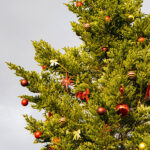 iPadmini第6世代ののクリスマスの壁紙