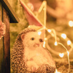 iPadmini第6世代ののクリスマスの壁紙