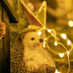 iPadmini第6世代ののクリスマスの壁紙