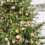 iPadmini第6世代ののクリスマスの壁紙