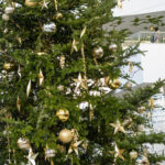 iPadmini第6世代ののクリスマスの壁紙