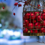 iPadmini第6世代ののクリスマスの壁紙