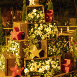 iPadmini第6世代ののクリスマスの壁紙