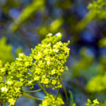 iPad9.7・7.9インチロック画面等の壁紙