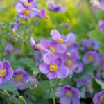 iPad9.7・7.9インチロック画面等の壁紙