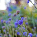 iPad9.7・7.9インチロック画面等の壁紙