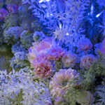 iPad9.7・7.9インチロック画面等の壁紙