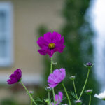 iPad9.7・7.9インチロック画面等の壁紙