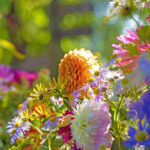 iPad10.2インチのロック画面等の花の壁紙