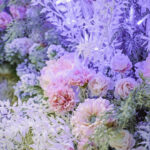 iPad10.2インチのロック画面等の花の壁紙