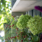 iPad10.2インチのロック画面等の花の壁紙