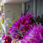 iPadAir第4・5世代10.9インチの花の壁紙