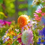 iPadPro11インチのロック画面等の花の壁紙