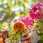 iPadPro11インチのロック画面等の花の壁紙