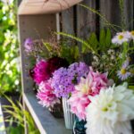 iPadPro11インチのロック画面等の花の壁紙