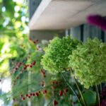 iPadPro11インチのロック画面等の花の壁紙